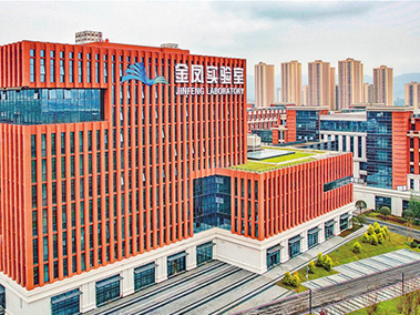 重庆市高新区金凤实验室数据机房项目